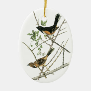 John Audubon Rufous-sided Towhee Ceramic Tree Decoration
