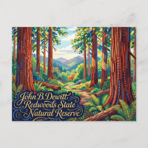 John B. Dewitt Redwoods State Natural Reserve Postcard