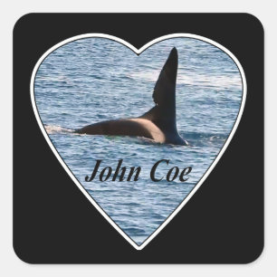 John Coe Orca Killer Whale Square Sticker
