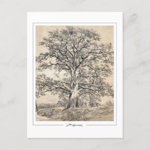 John Constable #545-2 - Fine Art Postcard