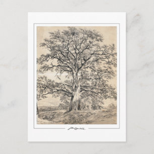 John Constable #545-2 - Fine Art Postcard