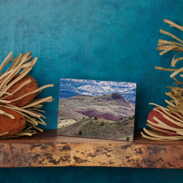 John Day Fossil Beds National Monument, Oregon Plaque (Side)