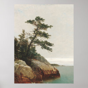 John Frederick Kensett Old Pine Landscape Print