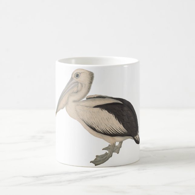 John Gould Pelican mug (Center)