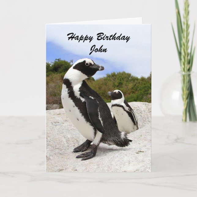 John Happy Birthday Penguins Humour Card (Front)