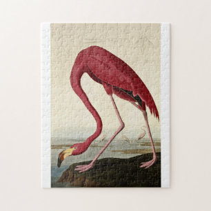 John James Audubon - American Flamingo Jigsaw Puzzle