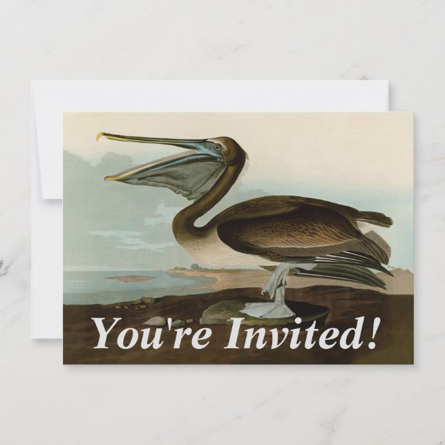 John James Audubon Brown Pelican Artwork Painting Invitation (Front)