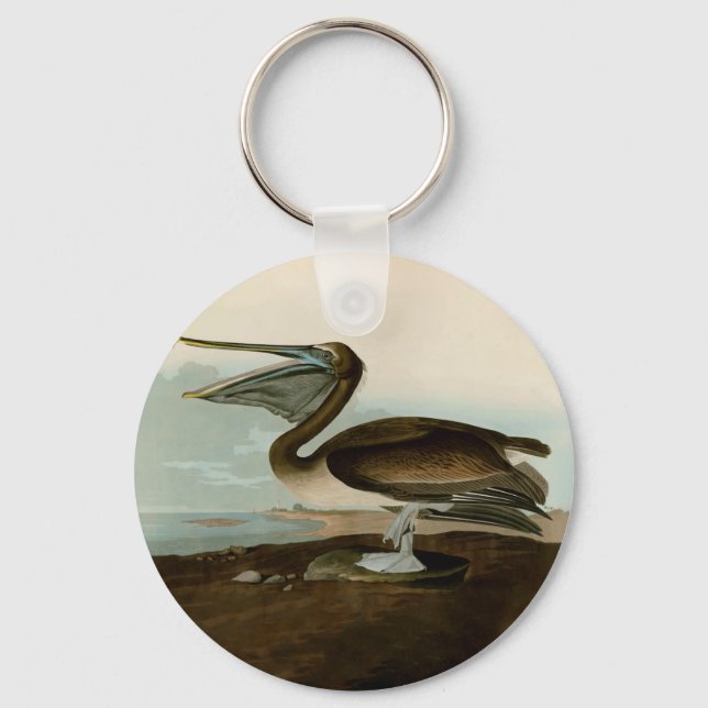John James Audubon Brown Pelican Artwork Painting Key Ring (Front)