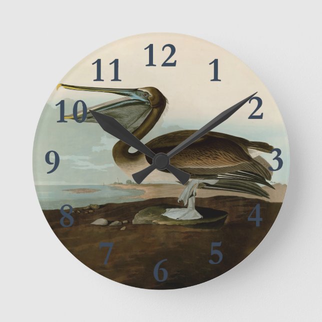 John James Audubon Brown Pelican Artwork Painting Round Clock (Front)