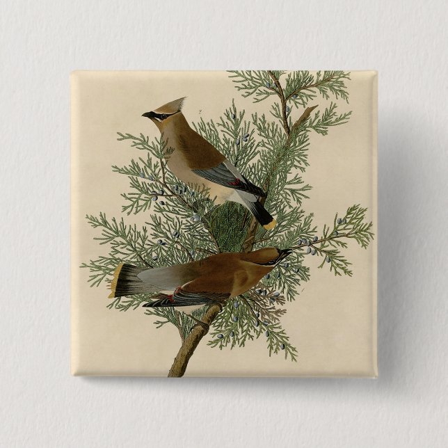 John James Audubon Cedar Waxwing Bird Print 15 Cm Square Badge (Front)
