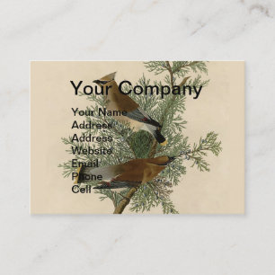 John James Audubon Cedar Waxwing Bird Print Business Card