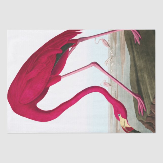 John James Audubon Flamingo Pink Artwork Decoupage Tissue Paper (Front)