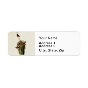 John James Audubon Marsh Wren Bird Print Return Address Label