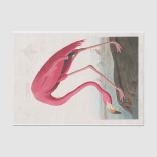 John James Audubon Pink Flamingo Tissue Paper