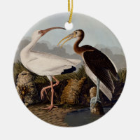 John James Audubon White Ibis Bird Print Classic