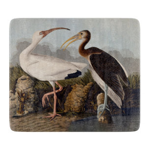 John James Audubon White Ibis Bird Print Classic Cutting Board
