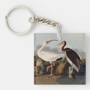 John James Audubon White Ibis Bird Print Classic Key Ring