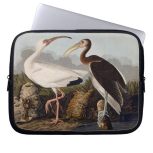 John James Audubon White Ibis Bird Print Classic Laptop Sleeve