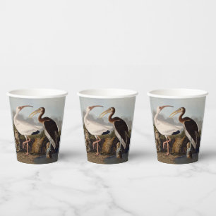 John James Audubon White Ibis Bird Print Classic Paper Cups