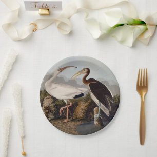 John James Audubon White Ibis Bird Print Classic Paper Plate