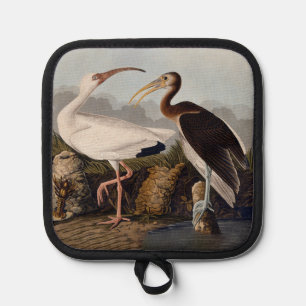 John James Audubon White Ibis Bird Print Classic Pot Holder