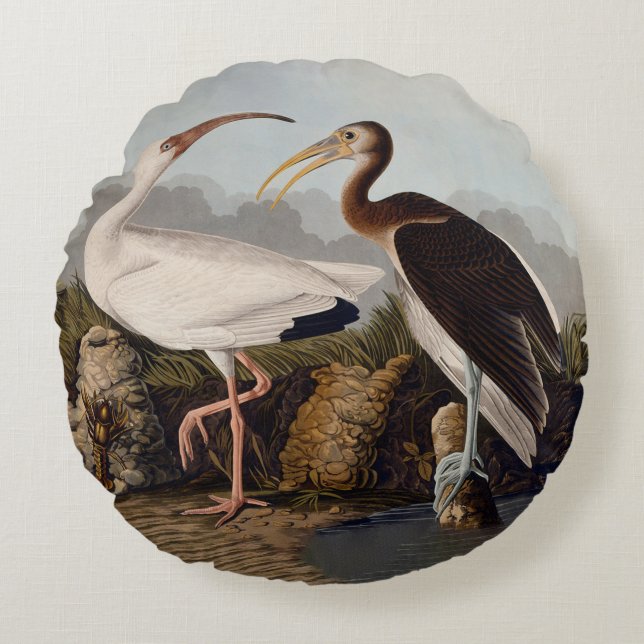 John James Audubon White Ibis Bird Print Classic Round Cushion (Front)
