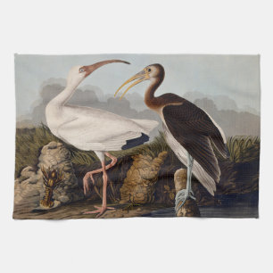 John James Audubon White Ibis Bird Print Classic Tea Towel