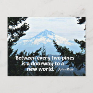 John Muir: "Between every two pines is a doorway" Postcard