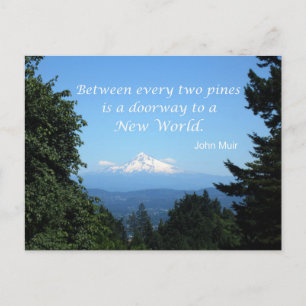 John Muir: "Between every two pines is a doorway" Postcard