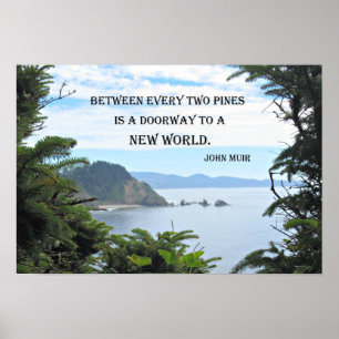 John Muir: "Between every two pines is a doorway" Poster
