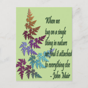 john muir - postcard