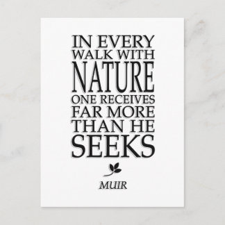 John Muir Postcard
