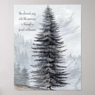 John Muir Quote Forest Wilderness Print