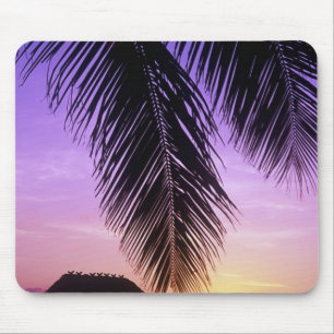 John Pennekamp State Park, Florida Keys, Key Mouse Pad