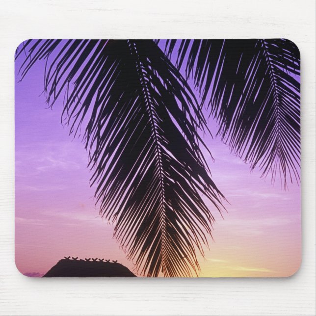 John Pennekamp State Park, Florida Keys, Key Mouse Pad (Front)