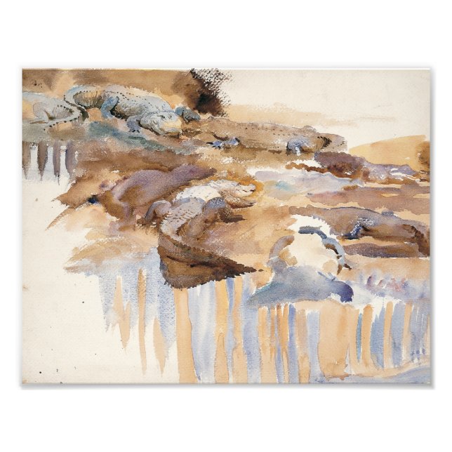 John Singer Sargent - Alligators Photo Print (Front)
