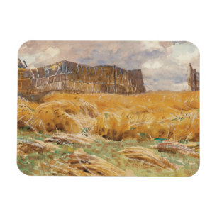 John Singer Sargent - Camouflaged Field in France Magnet