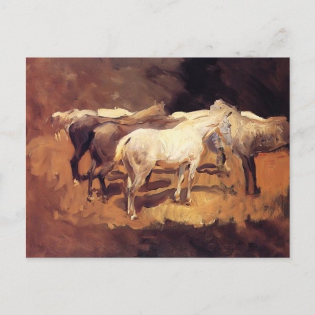 John Singer Sargent- Horses at Palma Postcard (Front)