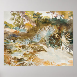 John Singer Sargent - Landscape with Palmettos Poster
