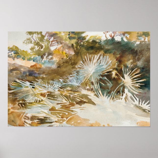 John Singer Sargent - Landscape with Palmettos Poster (Front)