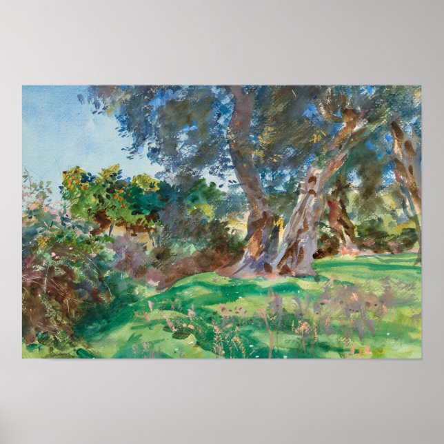John Singer Sargent - Olive Trees, Corfu Poster (Front)