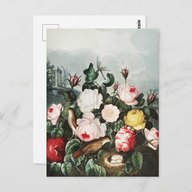 John Thornton Roses from The Temple of Flora Postcard (Front/Back)