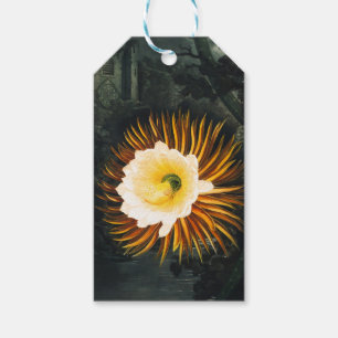 John Thornton The Night-Blowing Cereus Botanical Gift Tags