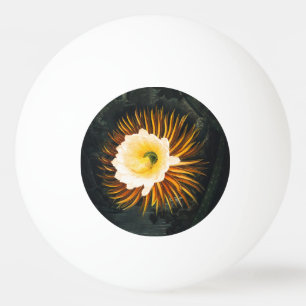 John Thornton The Night-Blowing Cereus Botanical Ping Pong Ball
