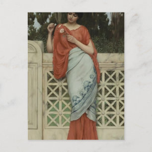 John William Godward- He Loves Me, He Loves Me Not Postcard