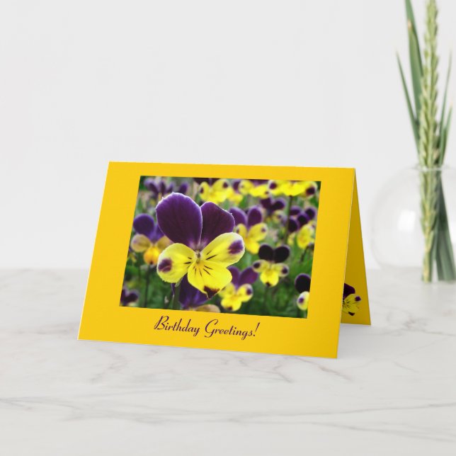 Johnny Jump Up Birthday Card (Front)