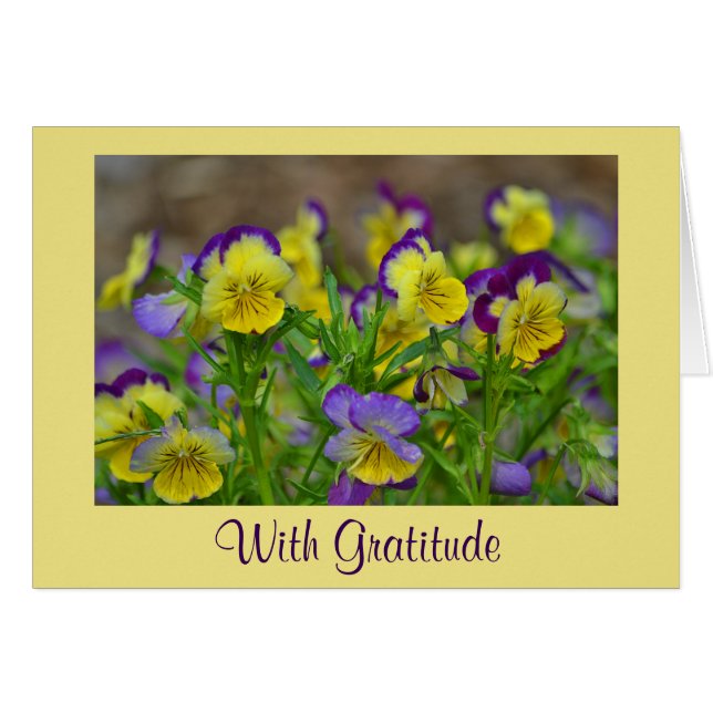 Johnny Jump Up Thank You Card (Front Horizontal)