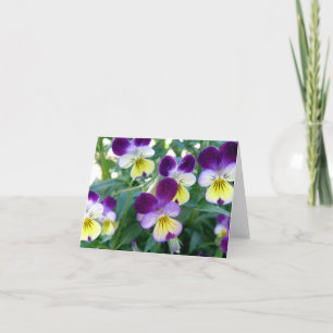 Johnny Jump-Ups Note Card