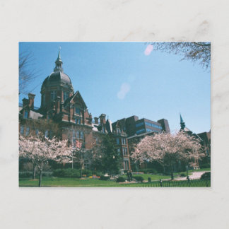 Johns Hopkins Hospital Postcard