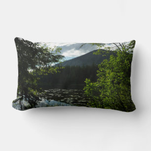 Johns Lake I at Glacier National Park Lumbar Cushion